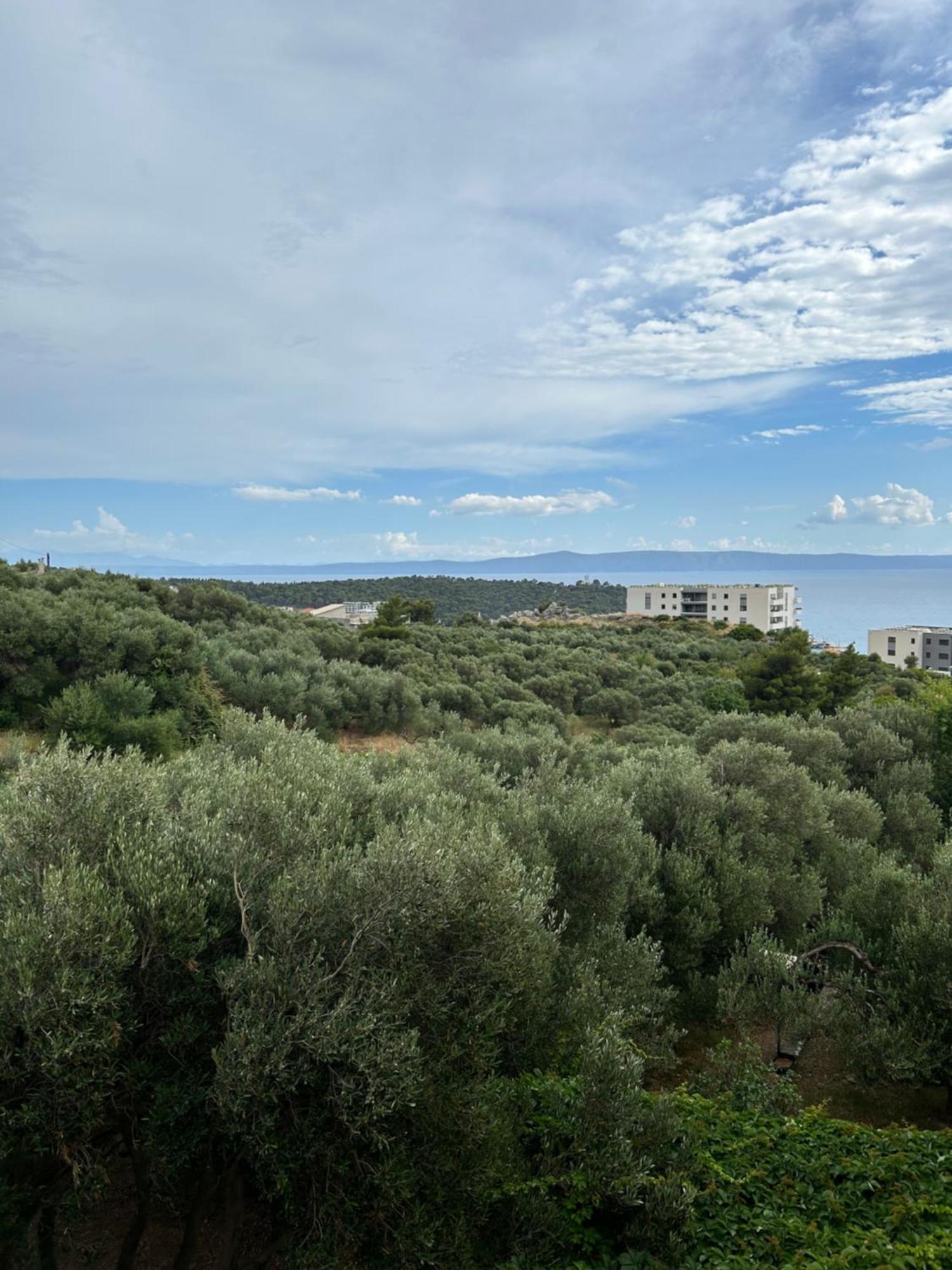 Apartment Mileta Makarska Extérieur photo